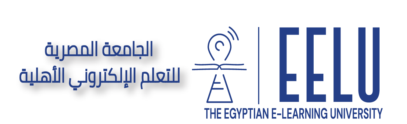 الجامعة المصرية للتعلم الإلكتروني الأهلية - مصر